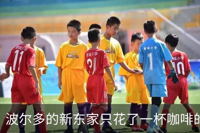 波尔多的新东家只花了一杯咖啡的钱